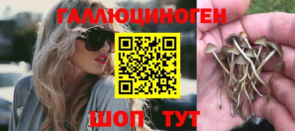 Галлюциногенные грибы GOLDEN TEACHER  Вход с VPN  Егорьевск 
