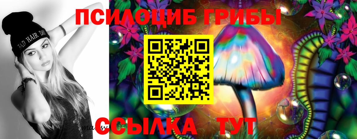 Галлюциногенные грибы Psilocybine cubensis Егорьевск